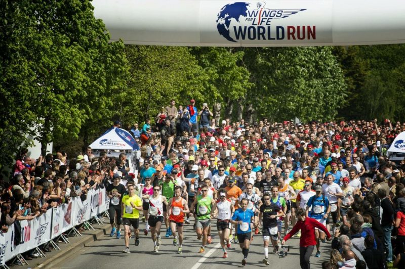 Планы на выходные: мировой забег Wings For Life World Run. Изображение номер 5 Планы на выходные: мировой забег Wings For Life World Run. Изображение номер 5