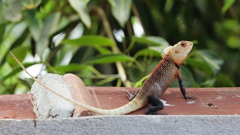 Лучшие места для серфинга: где весной искать хорошие волны. Изображение номер 35 Лучшие места для серфинга: где весной искать хорошие волны. Изображение номер 35