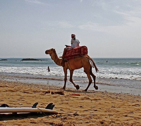 Лучшие места для серфинга: где весной искать хорошие волны. Изображение номер 52 Лучшие места для серфинга: где весной искать хорошие волны. Изображение номер 52