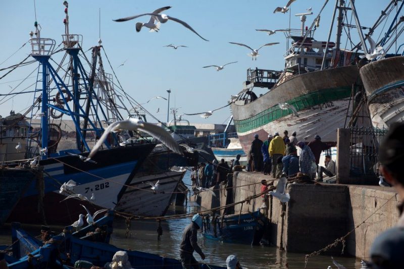 Лучшие места для серфинга: где весной искать хорошие волны. Изображение номер 51 Лучшие места для серфинга: где весной искать хорошие волны. Изображение номер 51