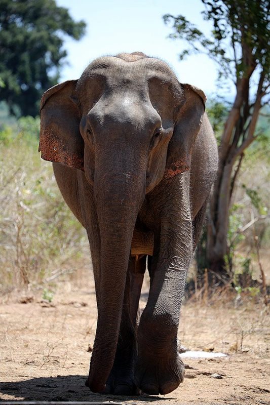 Лучшие места для серфинга: где весной искать хорошие волны. Изображение номер 39 Лучшие места для серфинга: где весной искать хорошие волны. Изображение номер 39