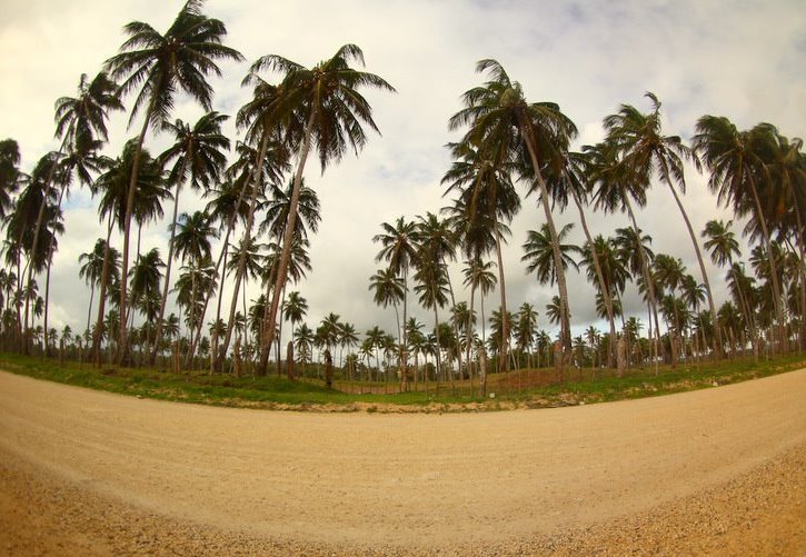 Лучшие места для серфинга: где весной искать хорошие волны. Изображение номер 3 Лучшие места для серфинга: где весной искать хорошие волны. Изображение номер 3