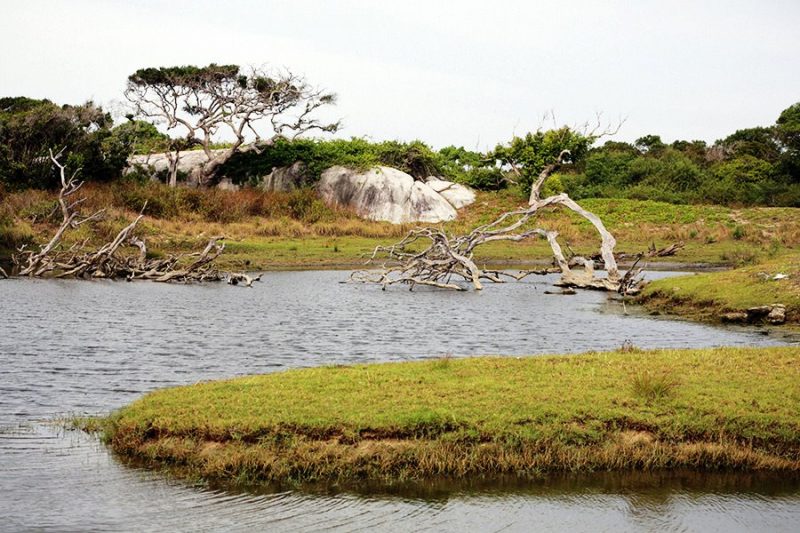 Лучшие места для серфинга: где весной искать хорошие волны. Изображение номер 40 Лучшие места для серфинга: где весной искать хорошие волны. Изображение номер 40