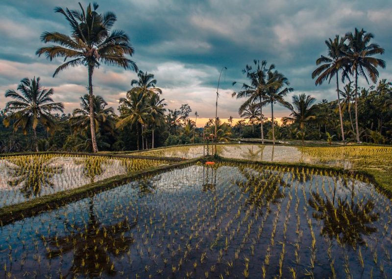 Лучшие места для серфинга: где весной искать хорошие волны. Изображение номер 12 Лучшие места для серфинга: где весной искать хорошие волны. Изображение номер 12