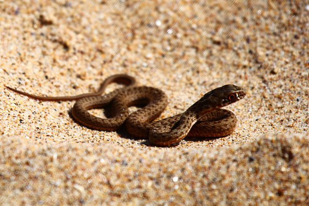 Лучшие места для серфинга: где весной искать хорошие волны. Изображение номер 29 Лучшие места для серфинга: где весной искать хорошие волны. Изображение номер 29