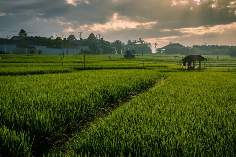 Лучшие места для серфинга: где весной искать хорошие волны. Изображение номер 16 Лучшие места для серфинга: где весной искать хорошие волны. Изображение номер 16