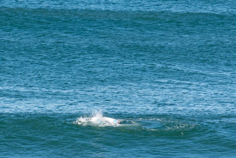 Челюсти-2015: как белая акула напала на сёрфера. Изображение номер 2 Челюсти-2015: как белая акула напала на сёрфера. Изображение номер 2