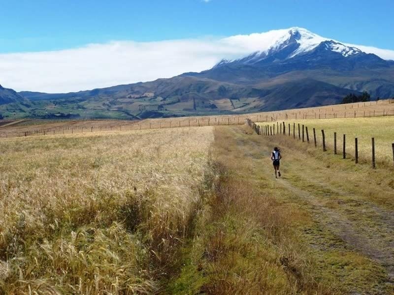 10 самых интересных беговых экскурсий по всему миру. Изображение номер 33 10 самых интересных беговых экскурсий по всему миру. Изображение номер 33