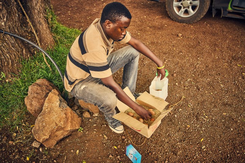 «Сила воли ─ это тюбик с зубной пастой». Выдавил — и покорил Килиманджаро. Изображение номер 4 «Сила воли ─ это тюбик с зубной пастой». Выдавил — и покорил Килиманджаро. Изображение номер 4