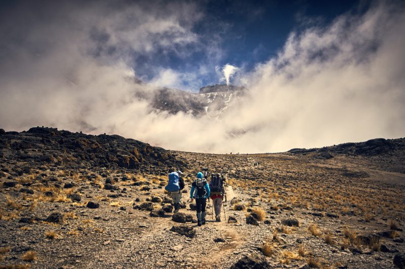 «Сила воли ─ это тюбик с зубной пастой». Выдавил — и покорил Килиманджаро. Изображение номер 9 «Сила воли ─ это тюбик с зубной пастой». Выдавил — и покорил Килиманджаро. Изображение номер 9