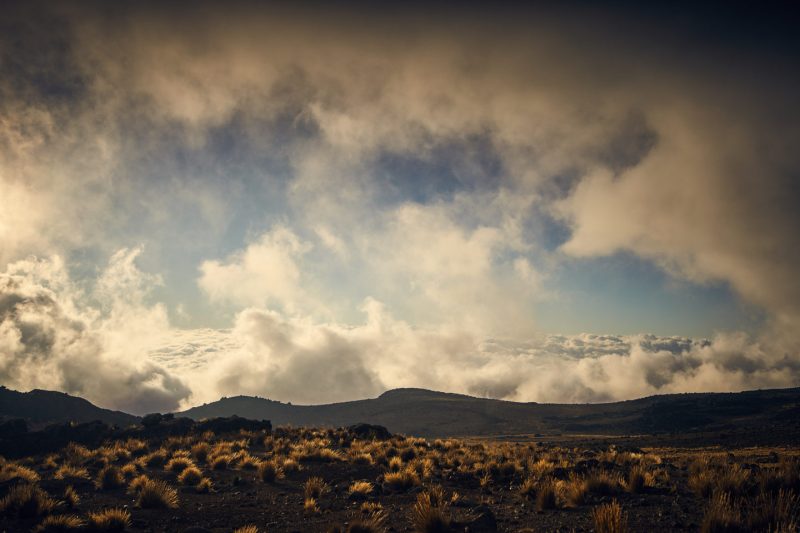 «Сила воли ─ это тюбик с зубной пастой». Выдавил — и покорил Килиманджаро. Изображение номер 7 «Сила воли ─ это тюбик с зубной пастой». Выдавил — и покорил Килиманджаро. Изображение номер 7