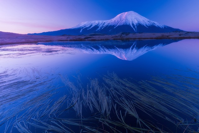 В московском метро запустили поезд-энциклопедию. Изображение номер 2 В московском метро запустили поезд-энциклопедию. Изображение номер 2