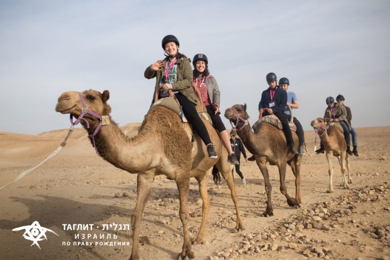 Как за 10 дней увидеть весь Израиль бесплатно. Изображение номер 8 Как за 10 дней увидеть весь Израиль бесплатно. Изображение номер 8