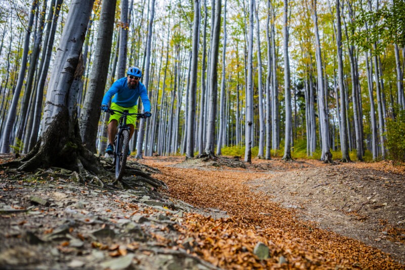 Путешествия по Польше на велосипеде: самые интересные маршруты. Изображение номер 14 Путешествия по Польше на велосипеде: самые интересные маршруты. Изображение номер 14