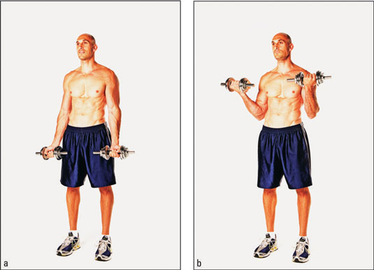 3 классных упражнения, чтобы прокачать бицепсы. Изображение номер 1