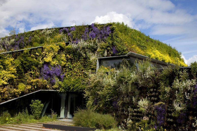 9 самых необычных фитнес-клубов в мире. Изображение номер 13