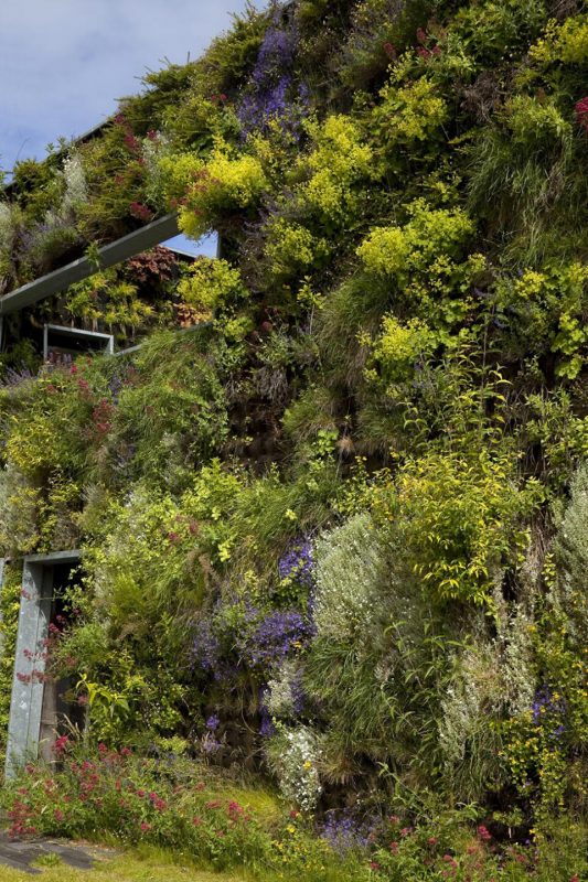 9 самых необычных фитнес-клубов в мире. Изображение номер 15