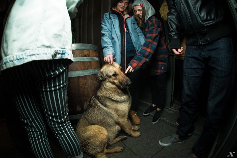 New Star Camp 2015: как это было. Изображение номер 49