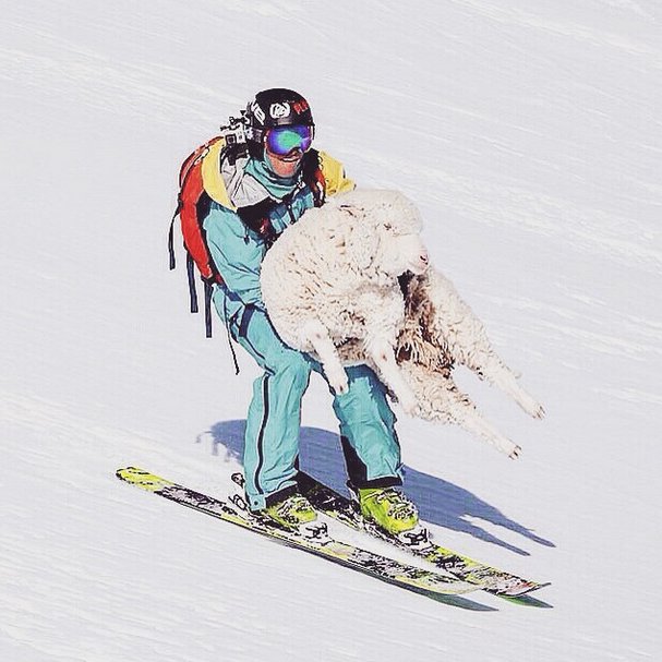 New Star Camp 2015: как это было. Изображение номер 51