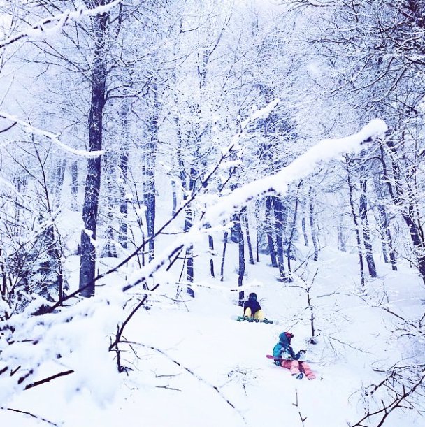 New Star Camp 2015: как это было. Изображение номер 53