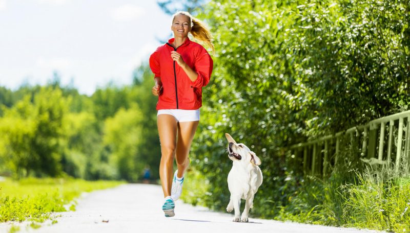 Methandienon ���� �����: ����.