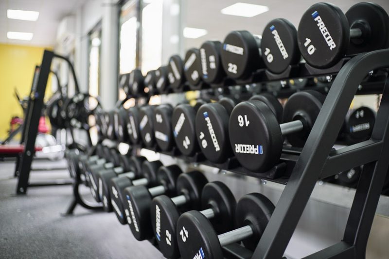 Видео. 15 упражнений для Анджелины Джоли и Сильвестра Сталлоне. Изображение номер 7