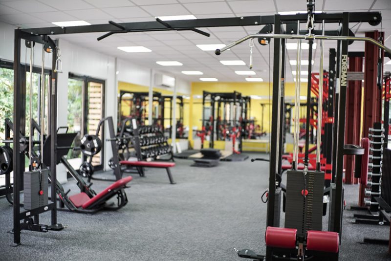 Видео. 15 упражнений для Анджелины Джоли и Сильвестра Сталлоне. Изображение номер 10