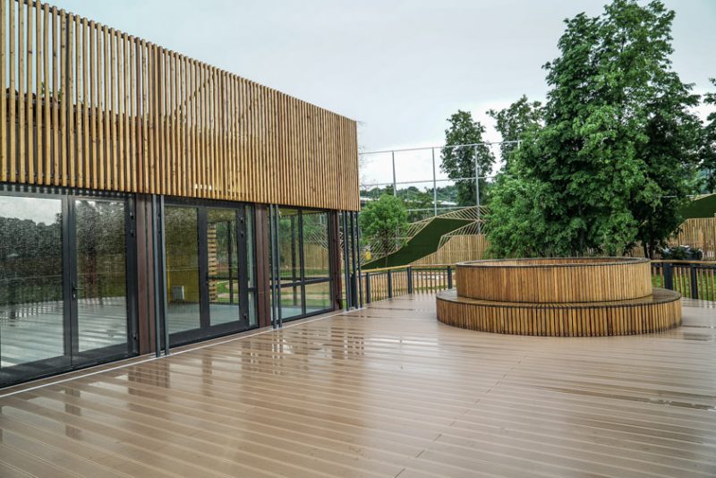 Видео. 15 упражнений для Анджелины Джоли и Сильвестра Сталлоне. Изображение номер 2