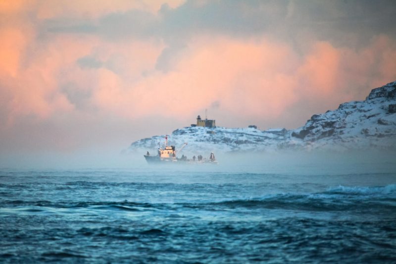 Кто сёрфит на Курилах и Северном Ледовитом океане, а потом снимает об этом кино. Изображение номер 7