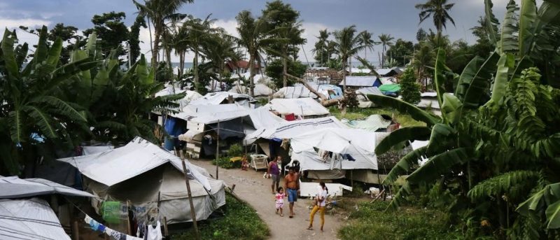 6 фильмов, которые нужно посмотреть на фестивале документального кино EcoCup. Изображение номер 10