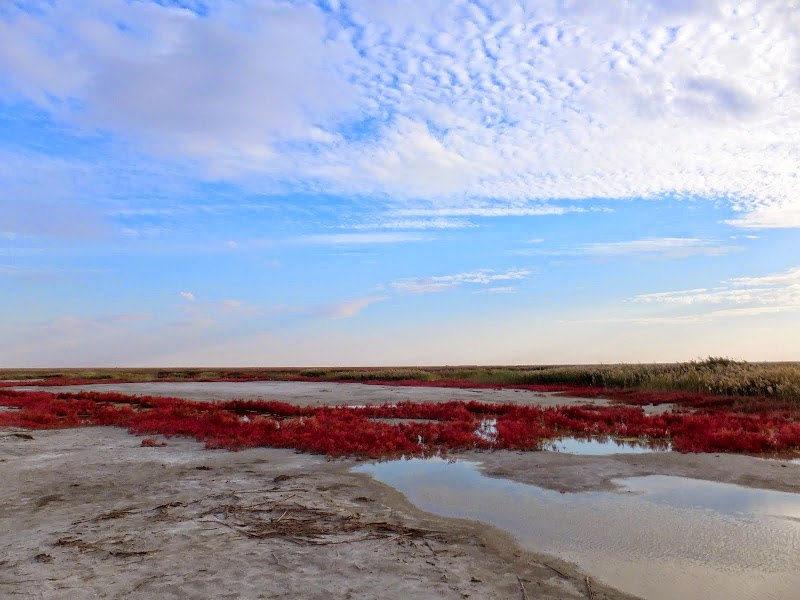 7 лучших трейлов России в этом беговом сезоне. Изображение номер 7