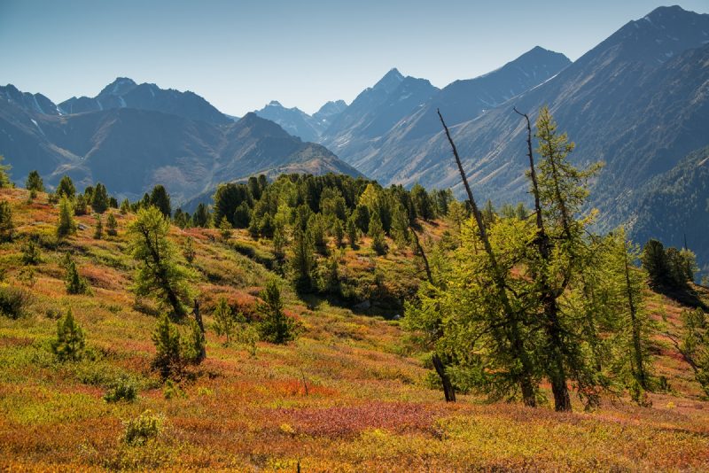 7 лучших трейлов России в этом беговом сезоне. Изображение номер 15