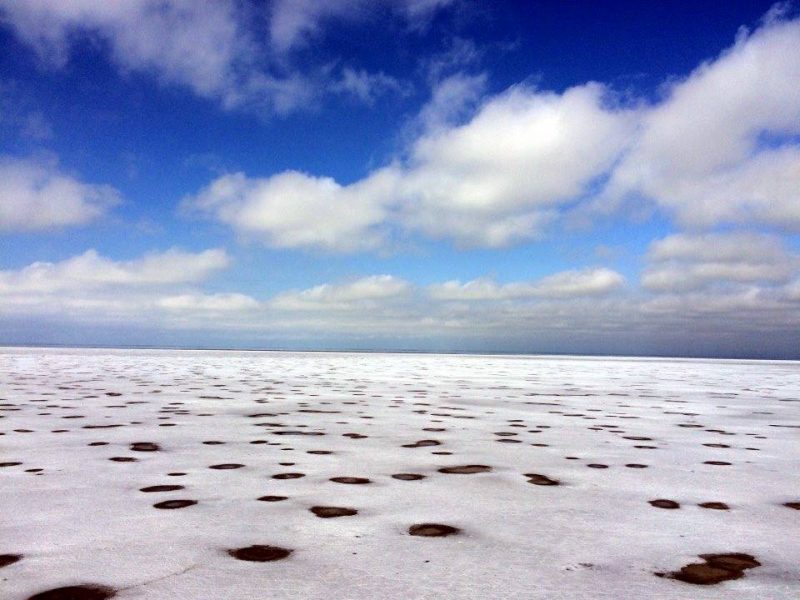 7 лучших трейлов России в этом беговом сезоне. Изображение номер 6