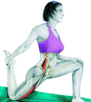 10 упражнений на растяжку ног: как мышцы тянутся на самом деле. Изображение номер 5