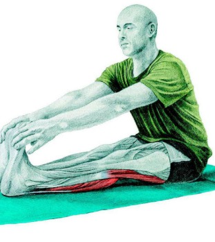 10 упражнений на растяжку ног: как мышцы тянутся на самом деле. Изображение номер 7