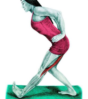 10 упражнений на растяжку ног: как мышцы тянутся на самом деле. Изображение номер 8
