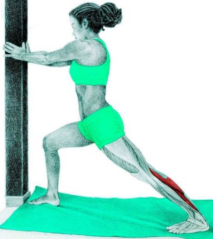 10 упражнений на растяжку ног: как мышцы тянутся на самом деле. Изображение номер 9