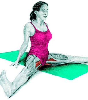 10 упражнений на растяжку ног: как мышцы тянутся на самом деле. Изображение номер 1