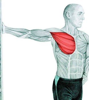 10 упражнений на растяжку: как мышцы тянутся на самом деле. Часть II. Изображение номер 8