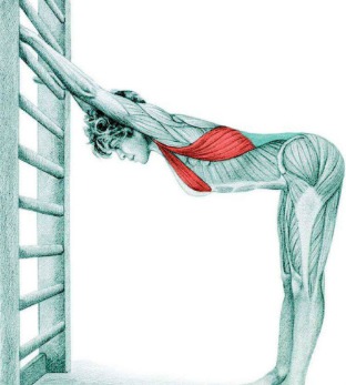 10 упражнений на растяжку: как мышцы тянутся на самом деле. Часть II. Изображение номер 9
