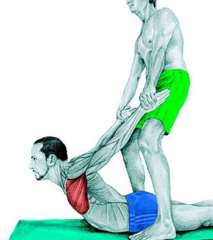 10 упражнений на растяжку: как мышцы тянутся на самом деле. Часть II. Изображение номер 10