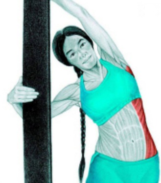 10 упражнений на растяжку: как тянутся мышцы спины и живота на самом деле. Изображение номер 7