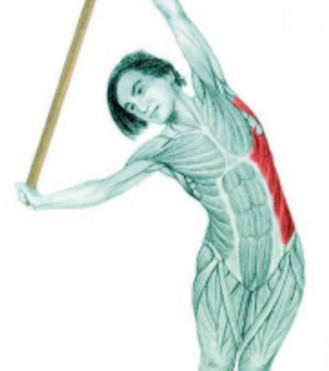 10 упражнений на растяжку: как тянутся мышцы спины и живота на самом деле. Изображение номер 9