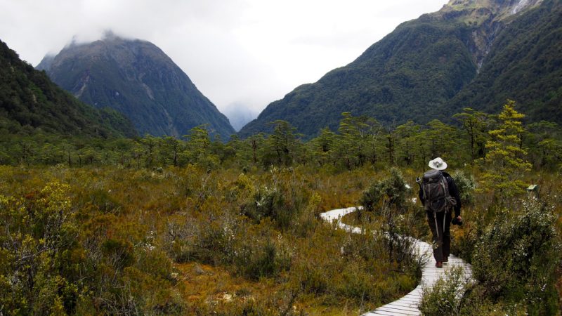 «Мы тут ещё парусным спортом занялись — кстати, абсолютно бесплатно». Изображение номер 6