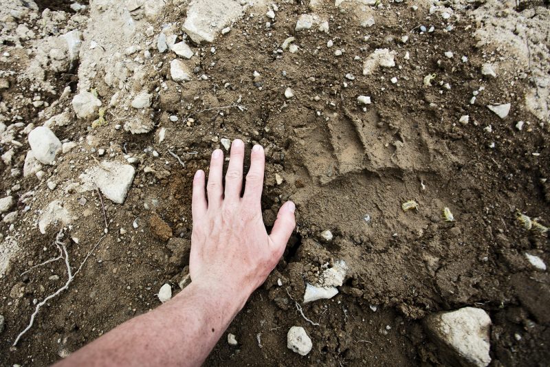 Проект 77: жизнь вне зоны комфорта. Изображение номер 7