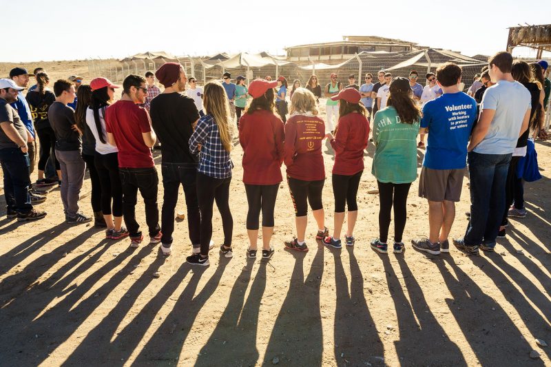 Как бесплатно съездить в Израиль и определиться с планами на жизнь. Изображение номер 4