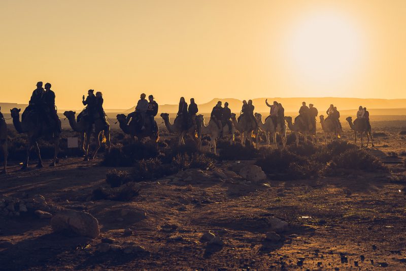 Как бесплатно съездить в Израиль и определиться с планами на жизнь. Изображение номер 7