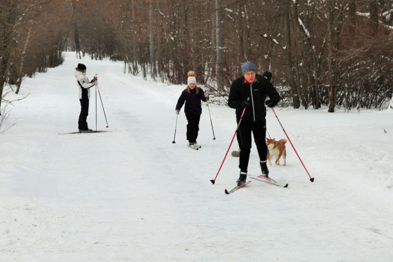 Где покататься на лыжах в Москве и ближнем Подмосковье. Изображение номер 13