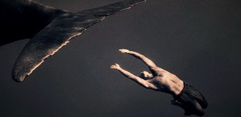 Выбор The Challenger: фильмы, которые мы хотим, чтобы вы посмотрели. Изображение номер 7