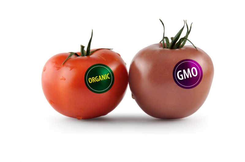 Консерванты, продукты с ГМО и «серая» колбаса: 8 мифов о питании, в которые надо перестать верить. Изображение номер 1